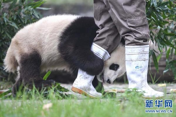 冷面狙擊手