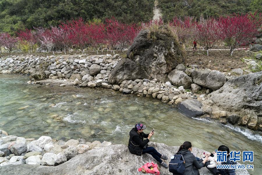 星漢燦爛月生滄海