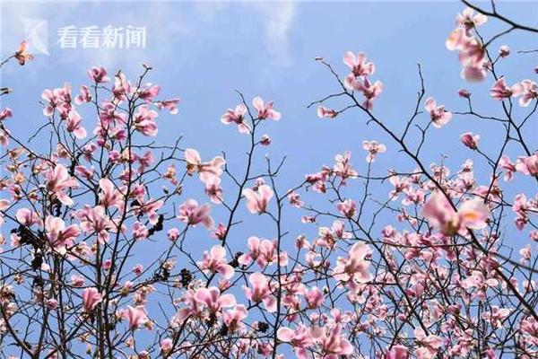 像霧像雨又像風電視劇