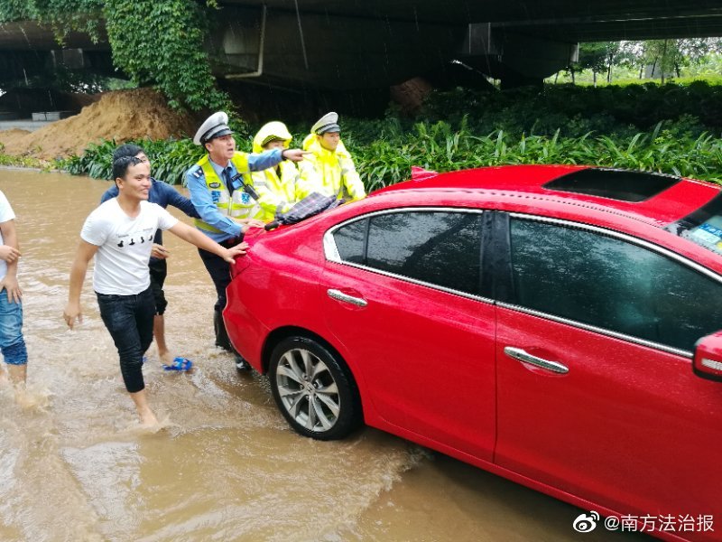  看見味道的你 電視劇