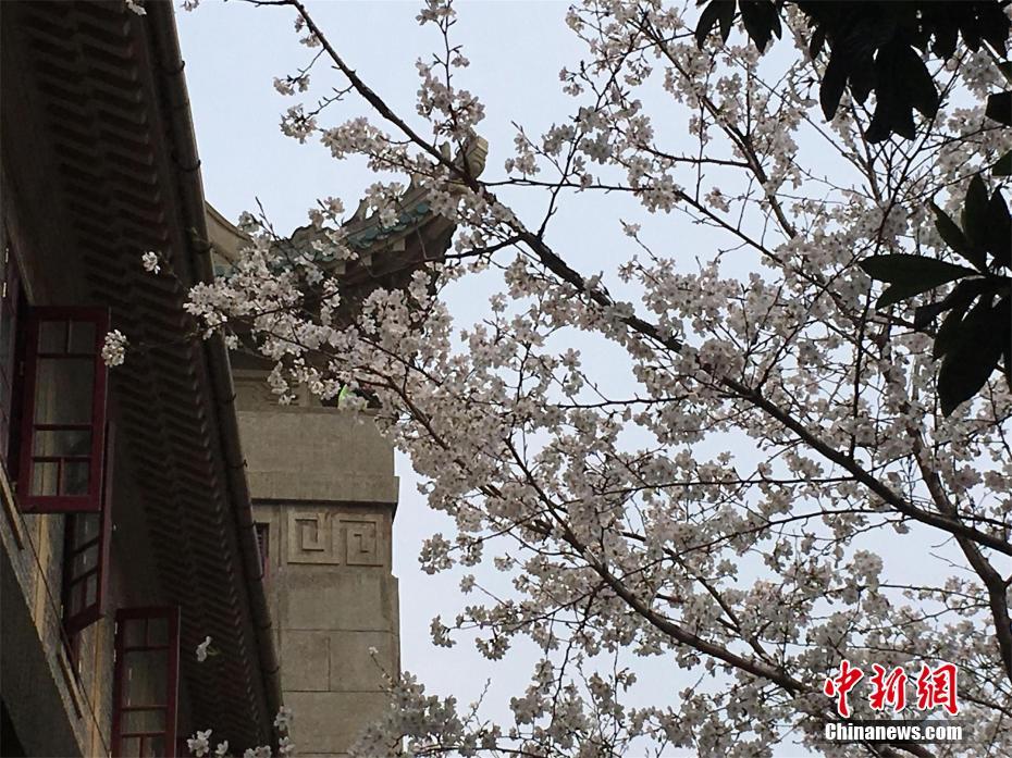  用舌尖不斷逗弄她的花苞