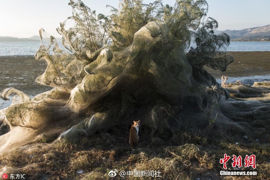 穿越時空之明月郡主