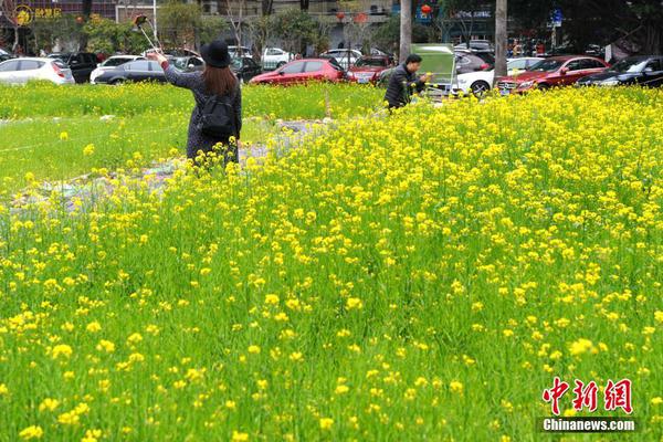  警花與警犬電視劇全集