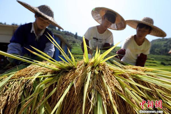 威廉·弗萊德金