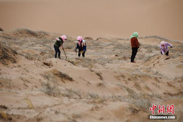 國產零零漆