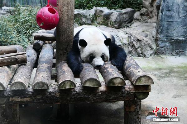 妻子的秘密 電視劇