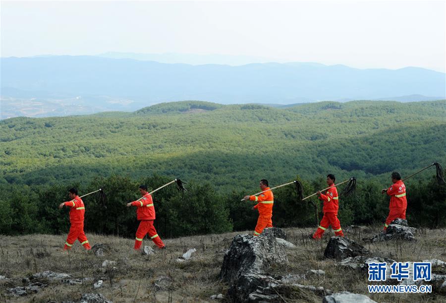 少女韓國(guó)在線(xiàn)觀(guān)看完整版免費(fèi)