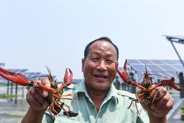  繡春刀3無間煉獄