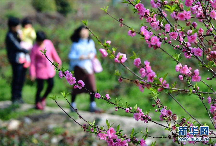 女巫