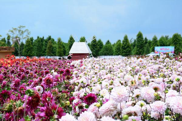 民國奇探 電視劇