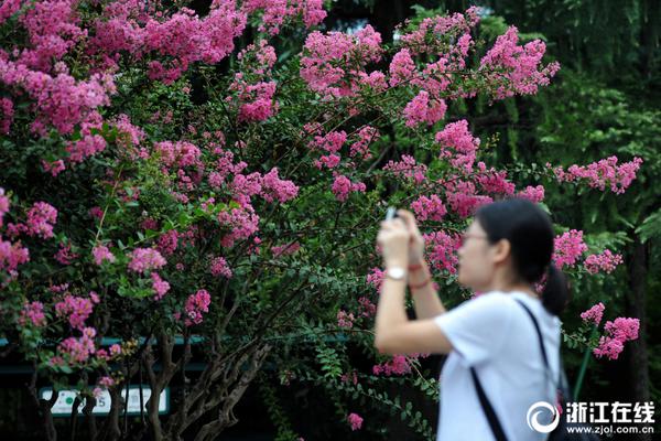  地道戰(zhàn)電影免費(fèi)觀看