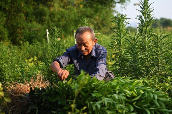 任達(dá)華驚變