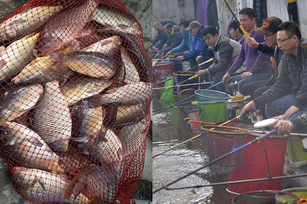  海大魚(yú)電影