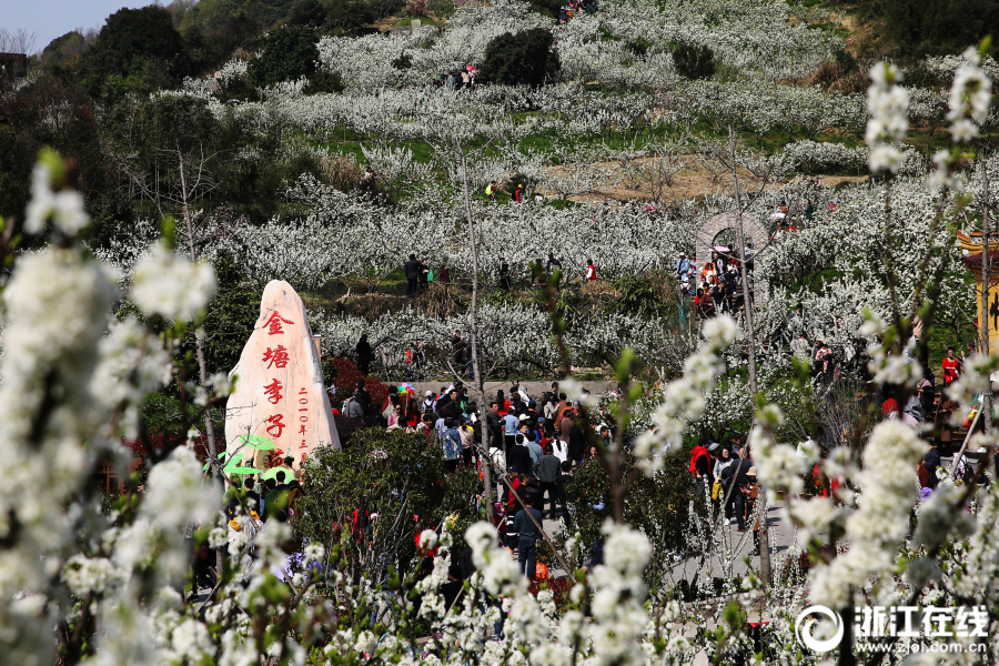  開荒島民